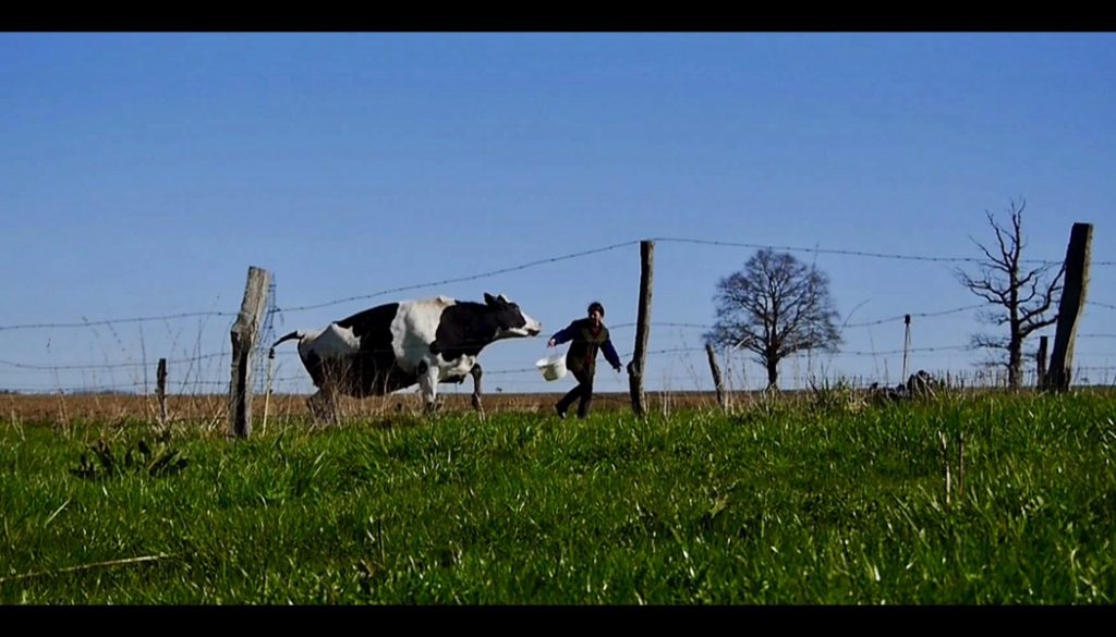 Les vaches n'auront plus de nom, un film de Hubert Charuel (France ...